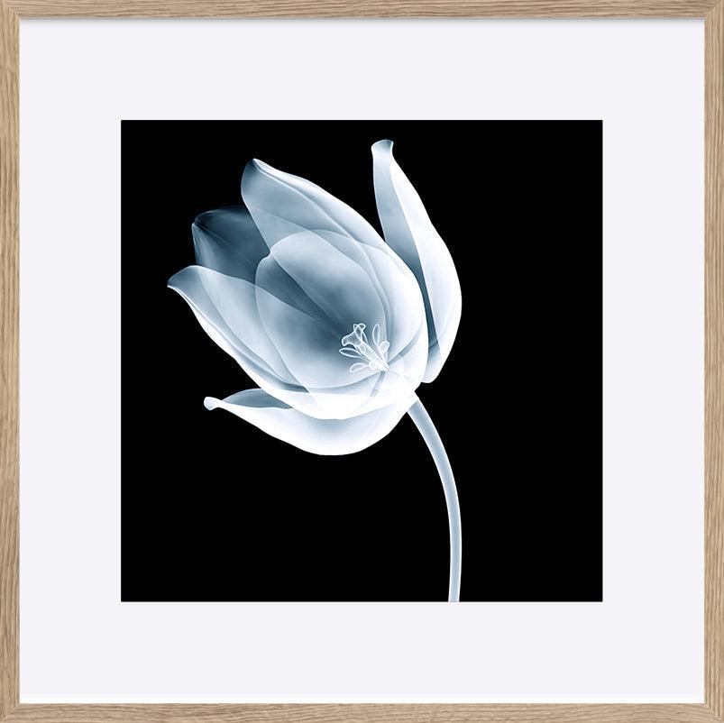 paper_frame