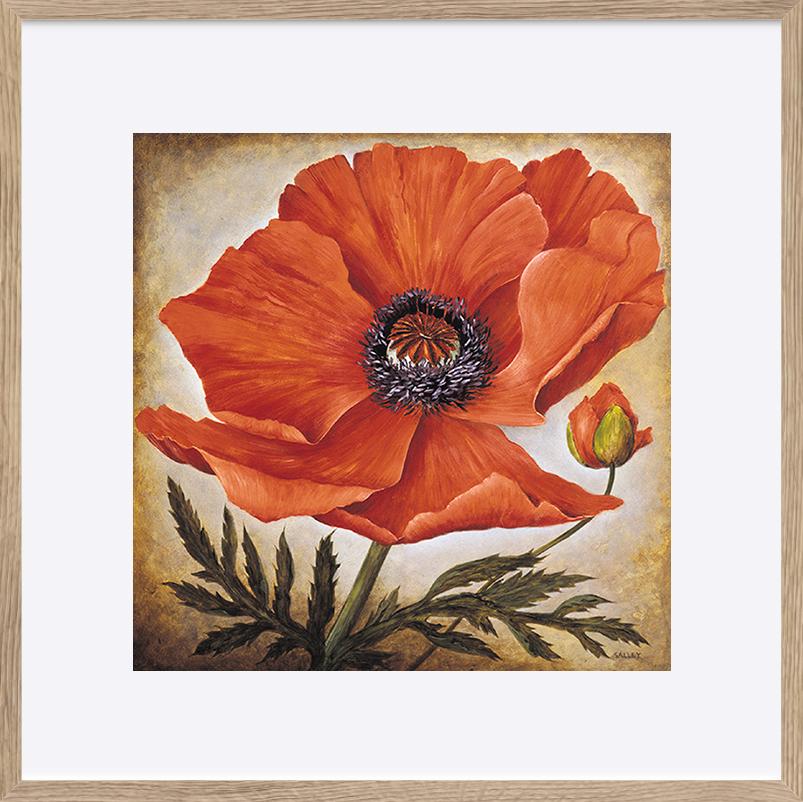 paper_frame