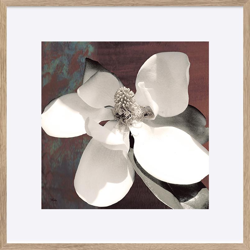 paper_frame