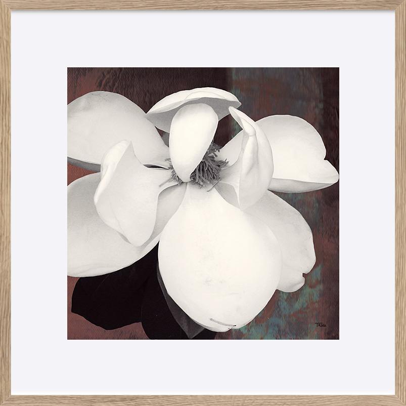 paper_frame