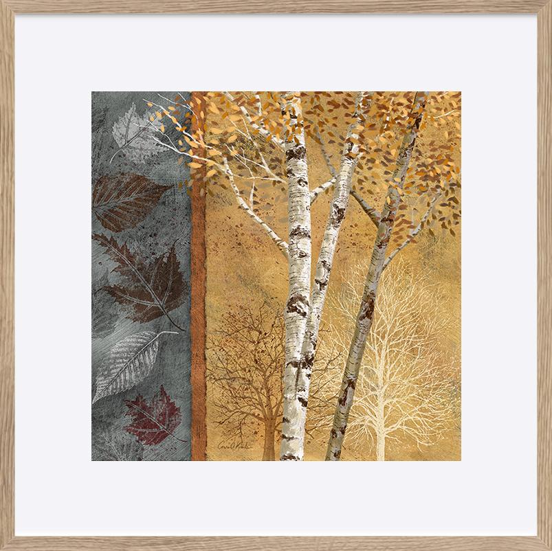 paper_frame