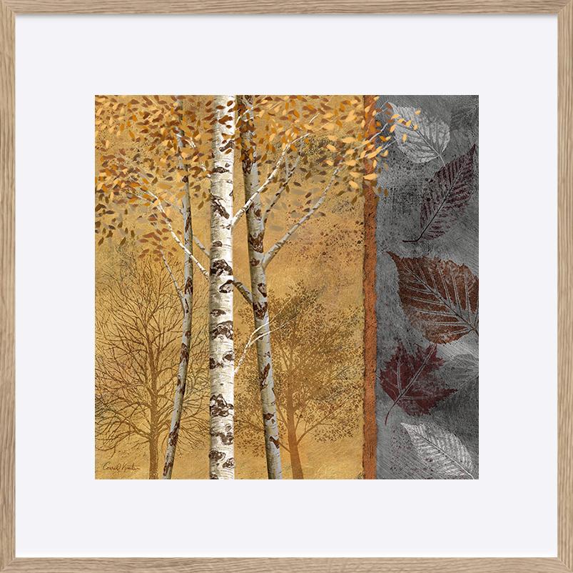 paper_frame