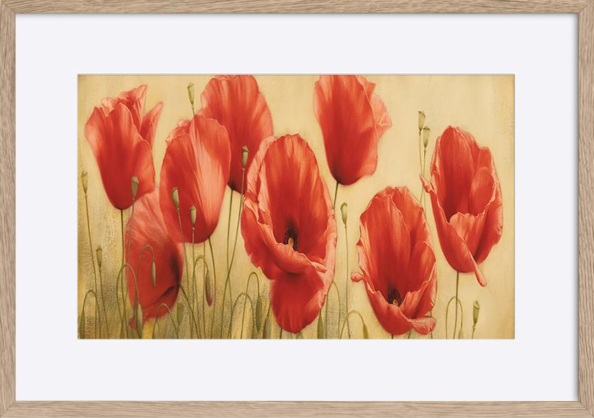 paper_frame