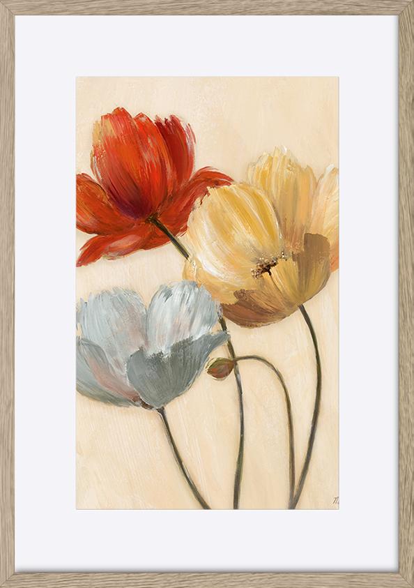 paper_frame