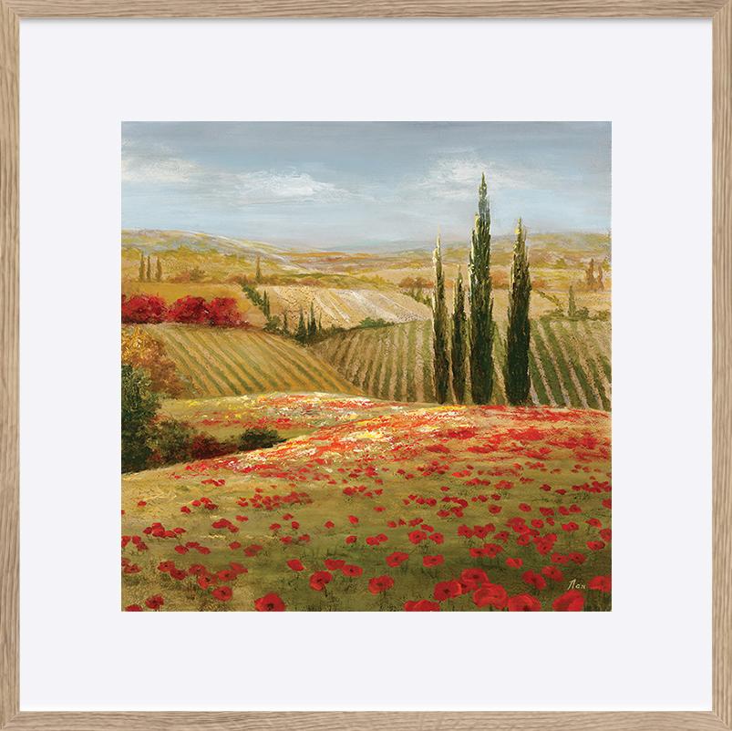 paper_frame