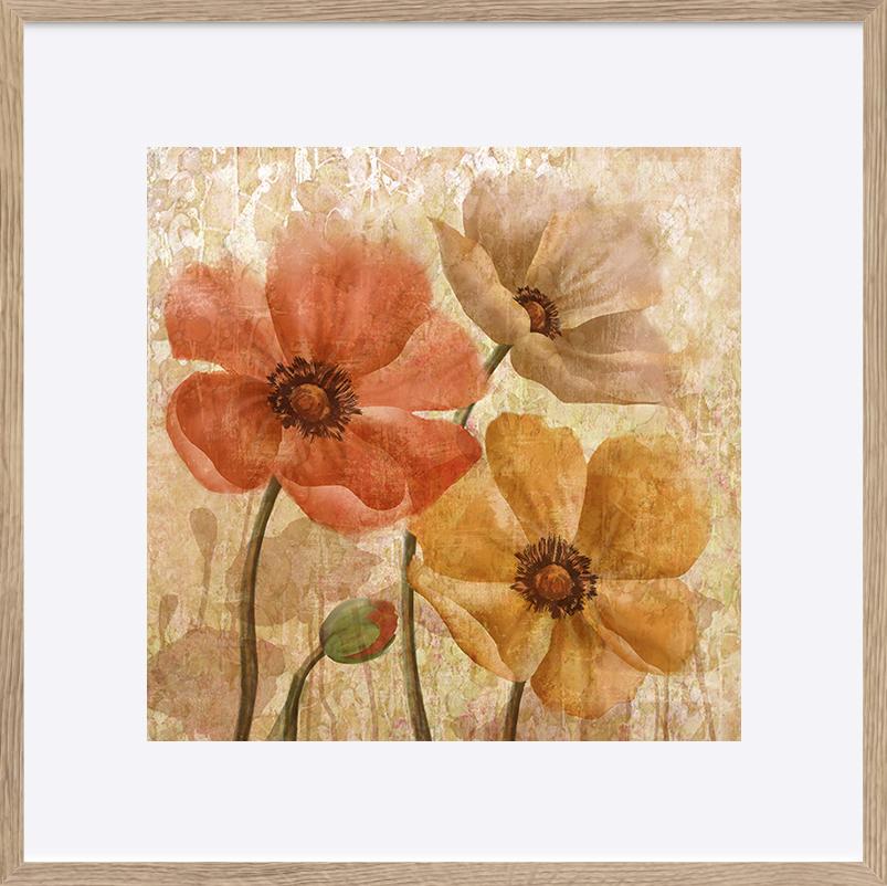 paper_frame