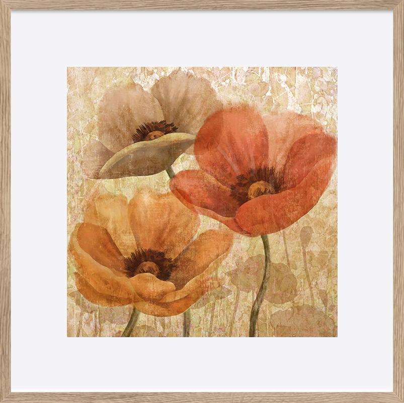 paper_frame