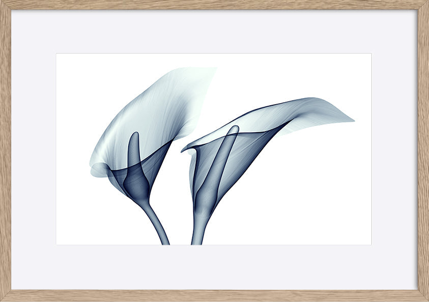 paper_frame