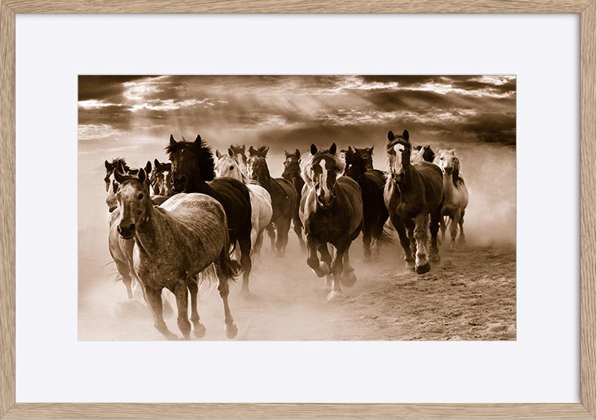 paper_frame