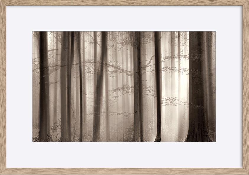 paper_frame
