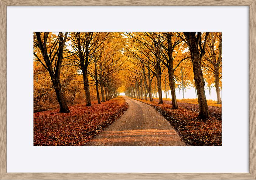 paper_frame