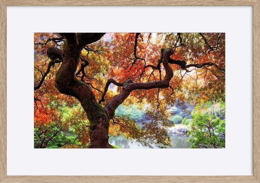 paper_frame