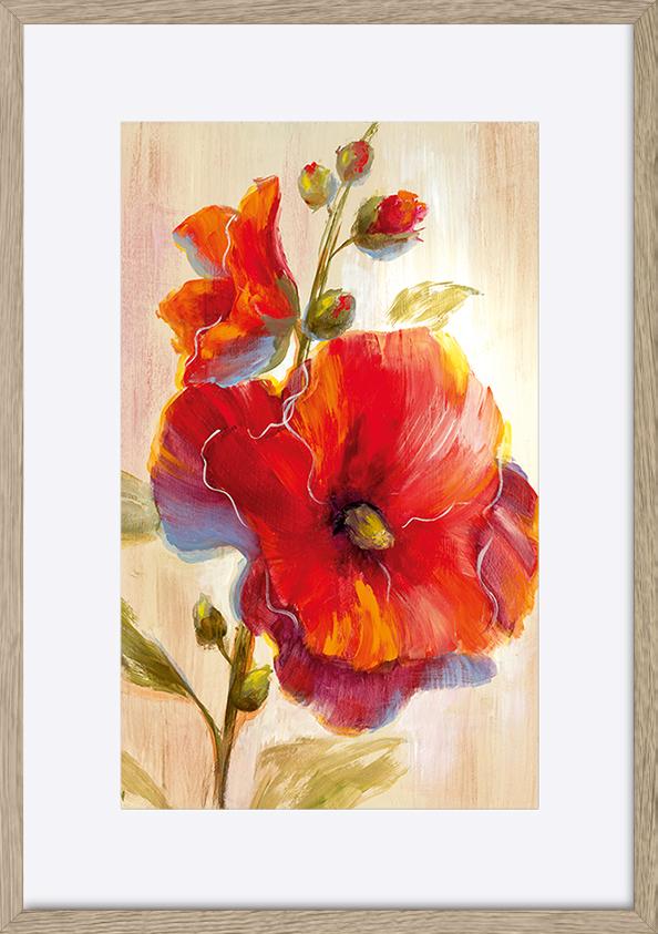 paper_frame