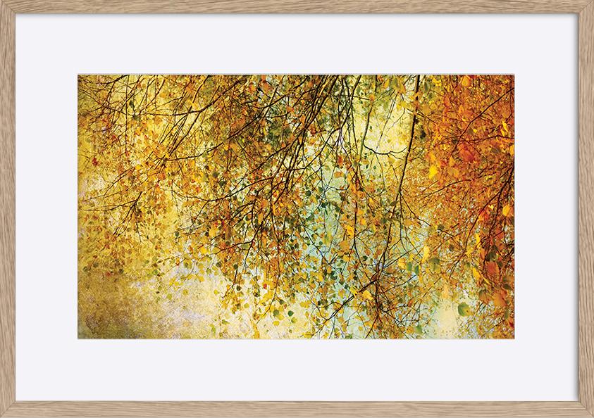 paper_frame