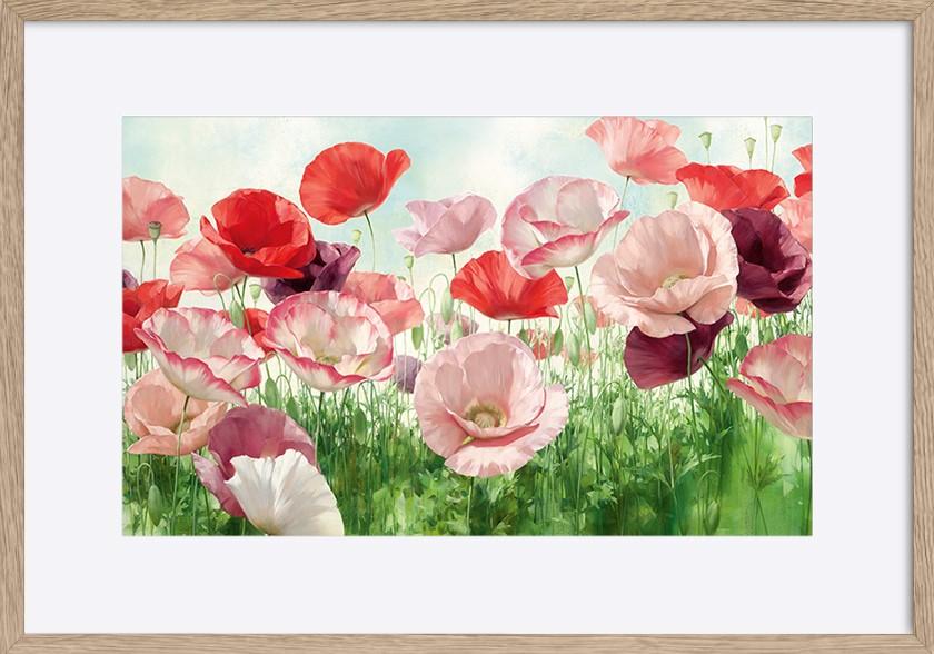 paper_frame