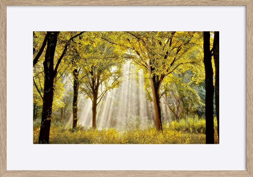 paper_frame