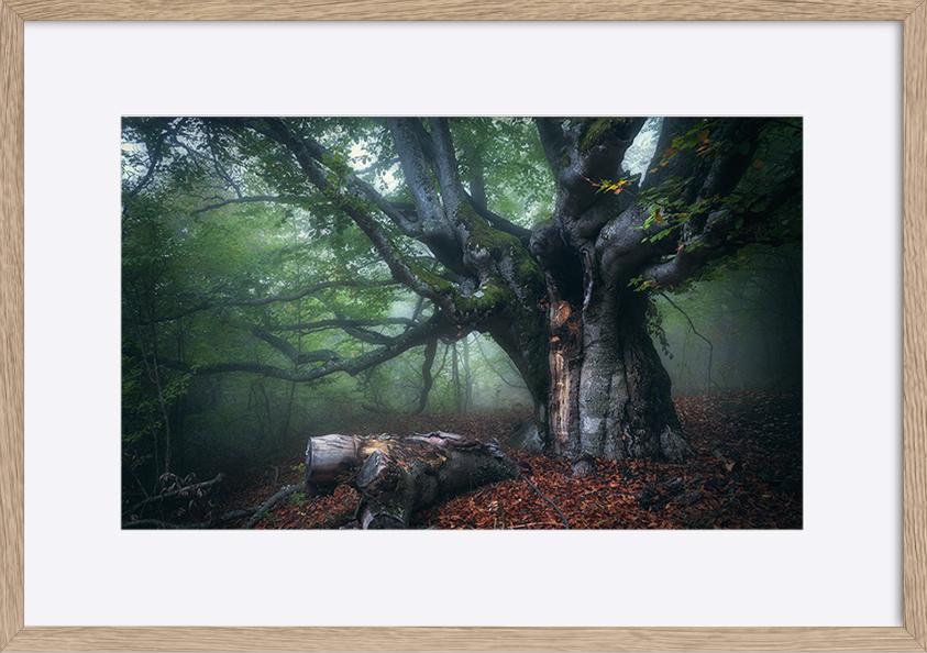 paper_frame