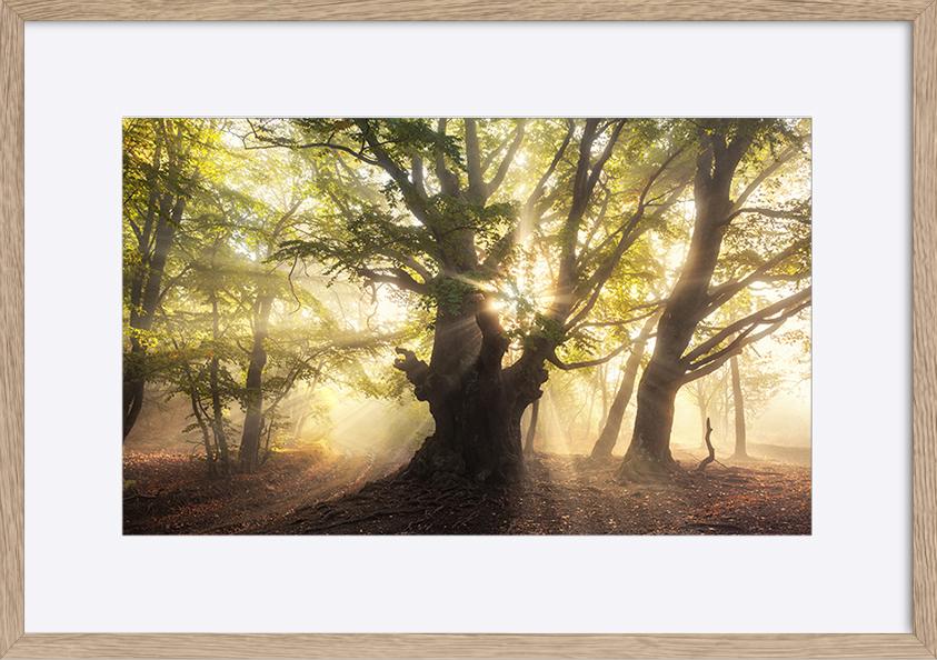 paper_frame
