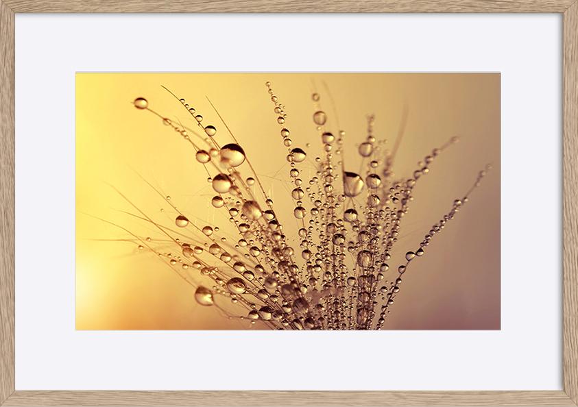 paper_frame