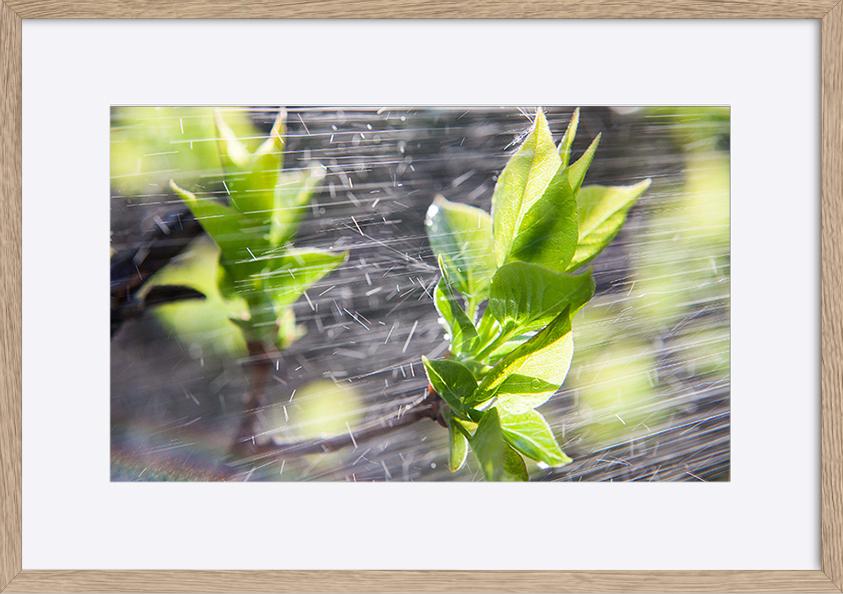 paper_frame