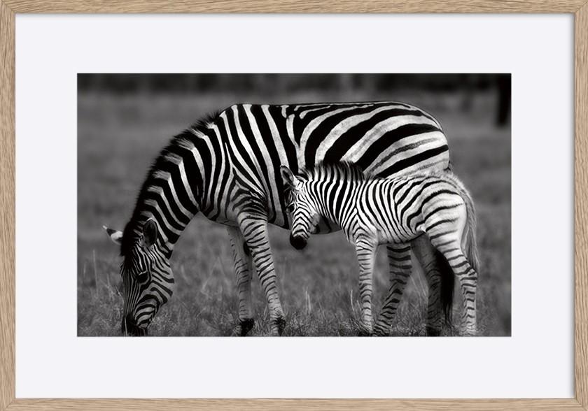 paper_frame