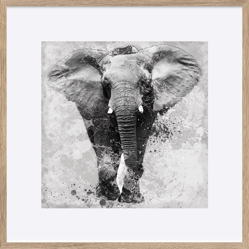 paper_frame