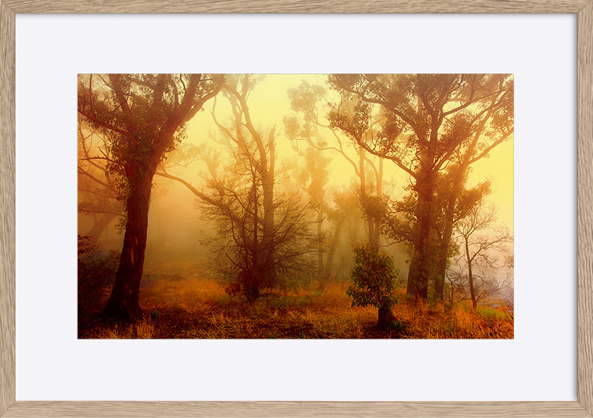 paper_frame