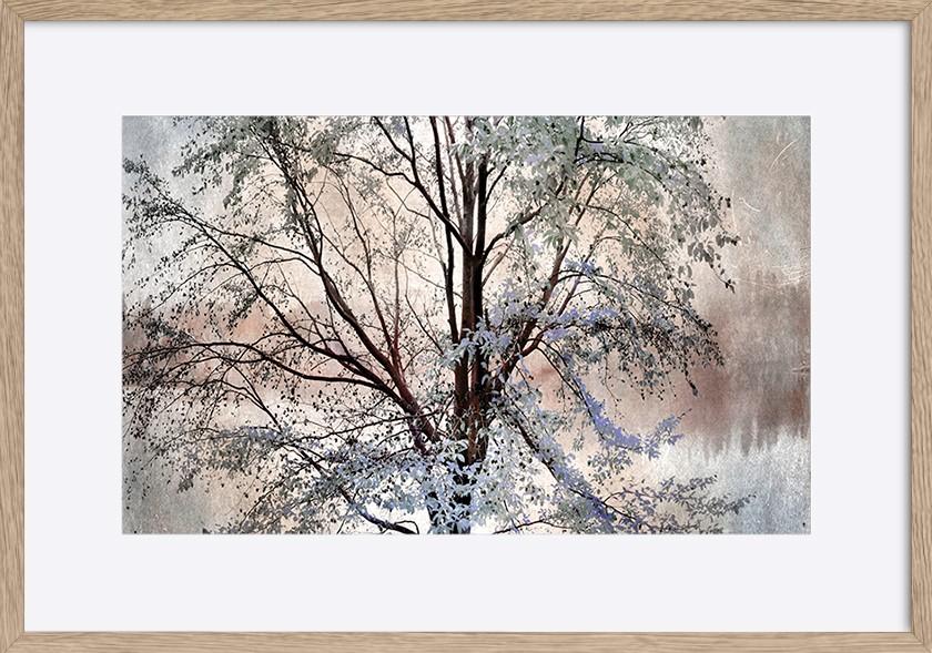 paper_frame