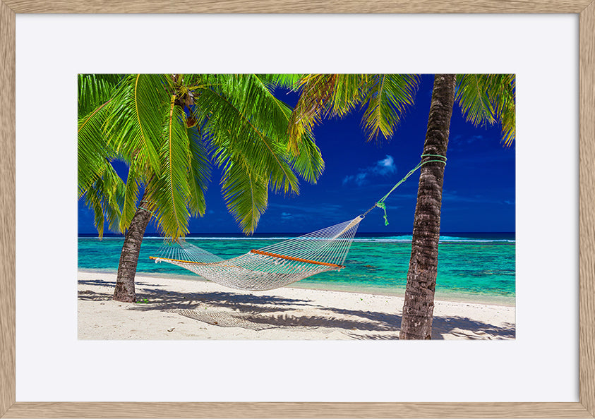 Hammock between palm trees clearance