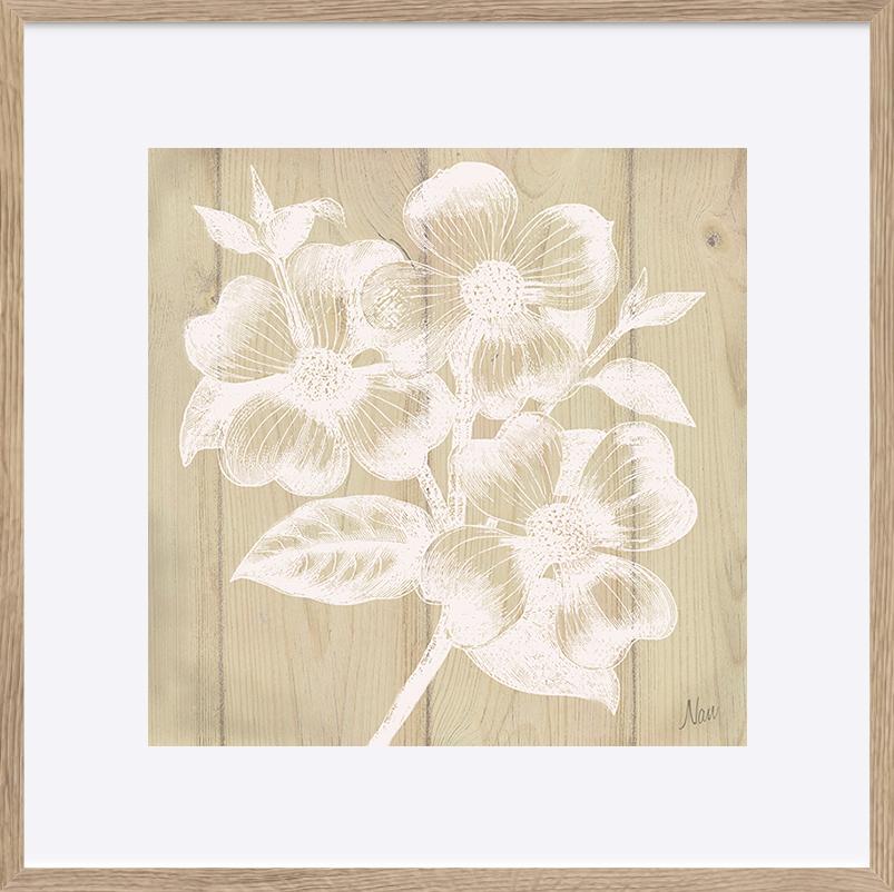 paper_frame
