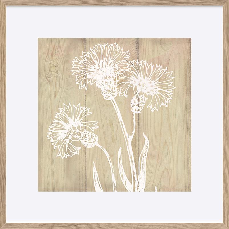 paper_frame