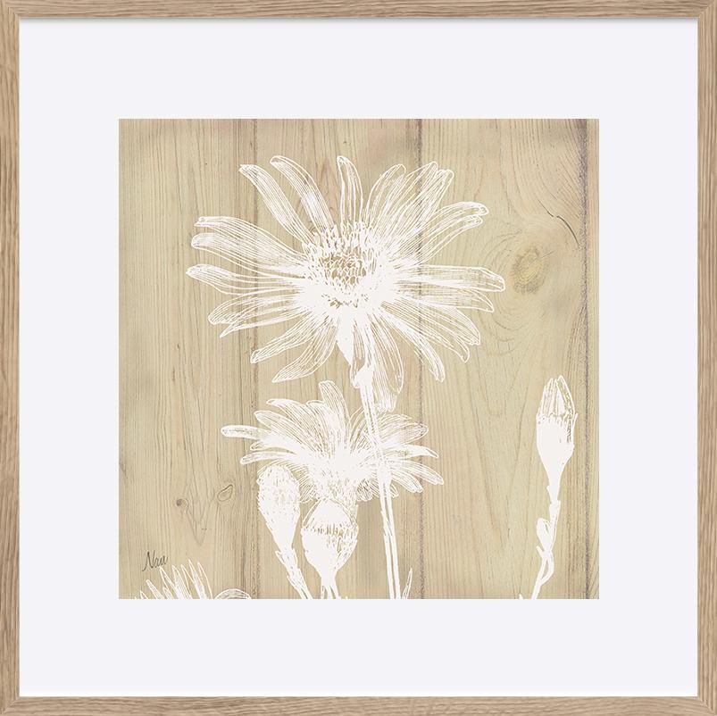 paper_frame