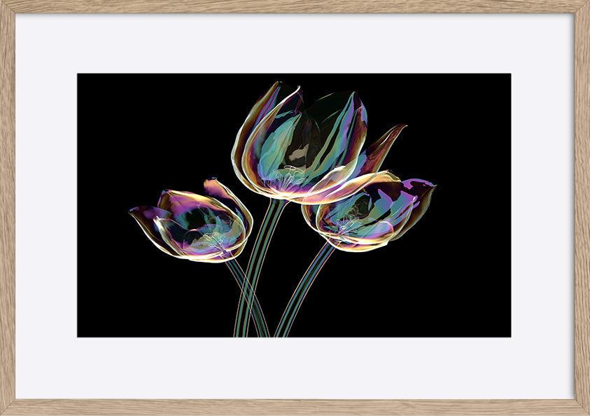paper_frame