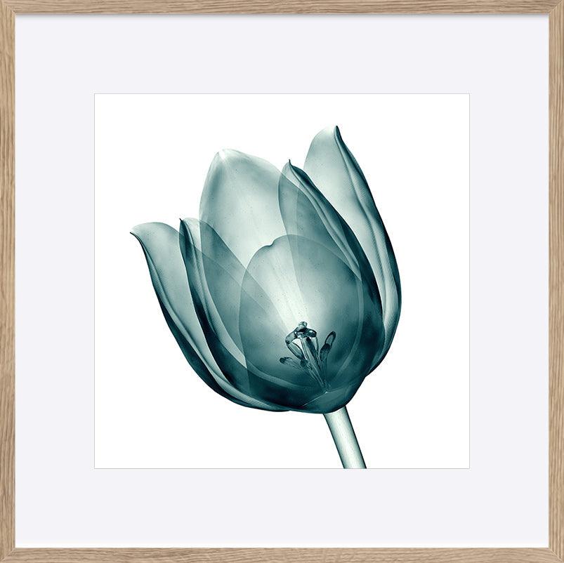 paper_frame