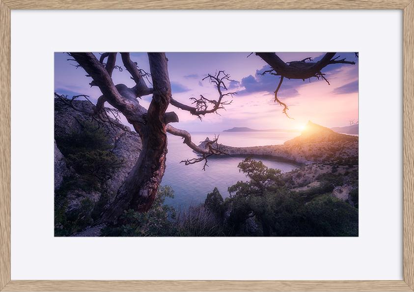 paper_frame