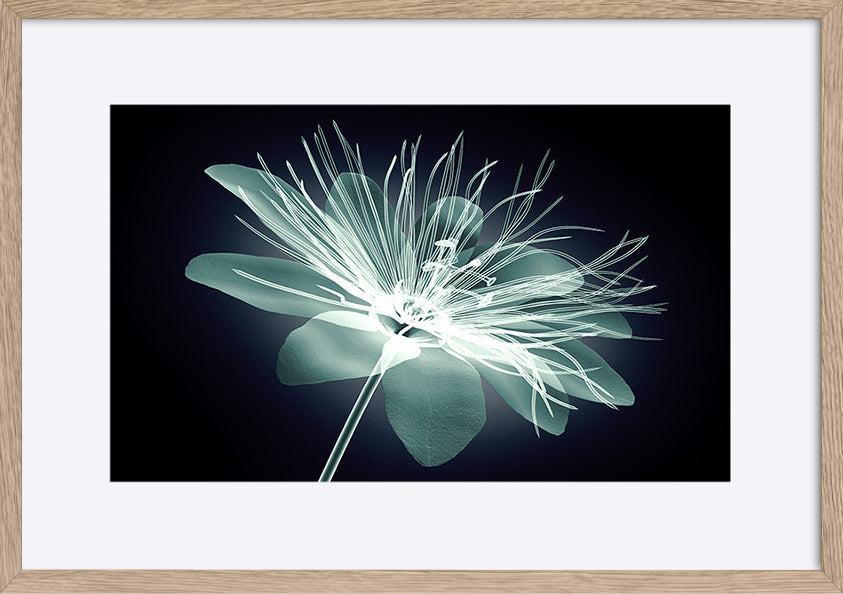 paper_frame