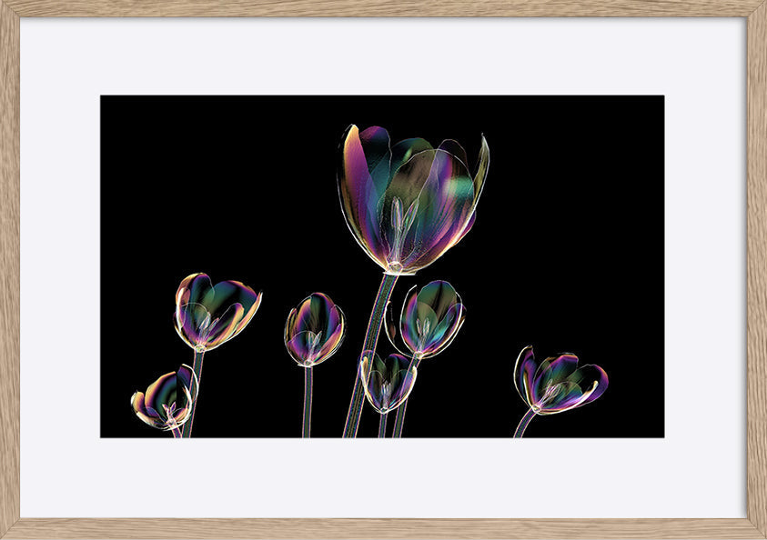 paper_frame