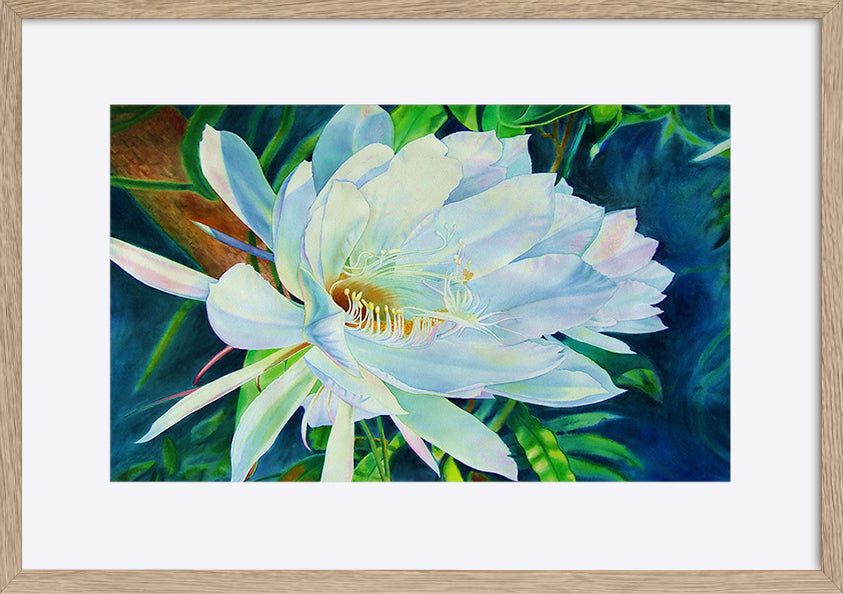 paper_frame