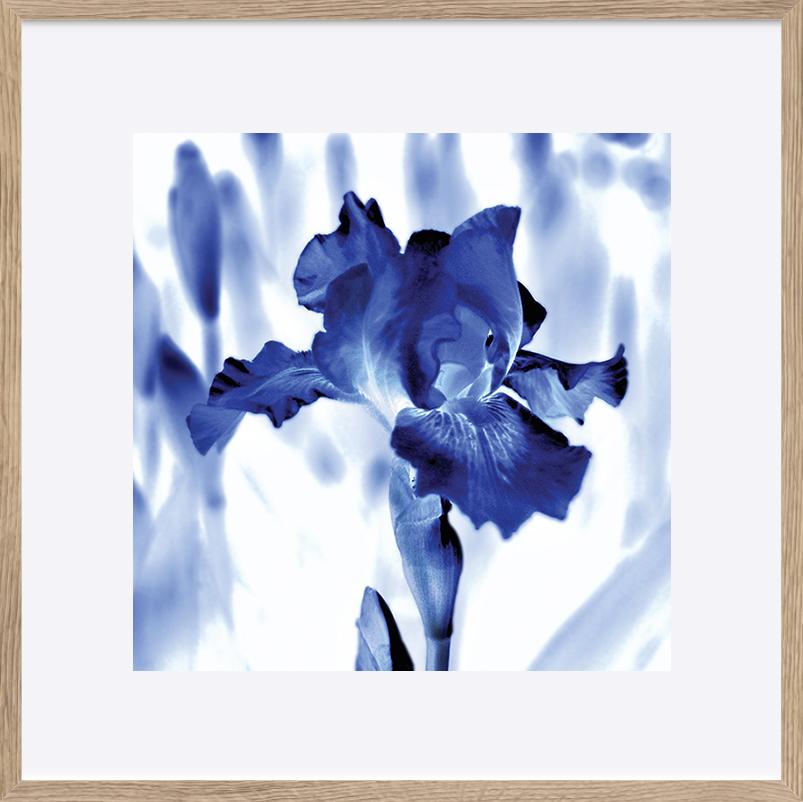paper_frame