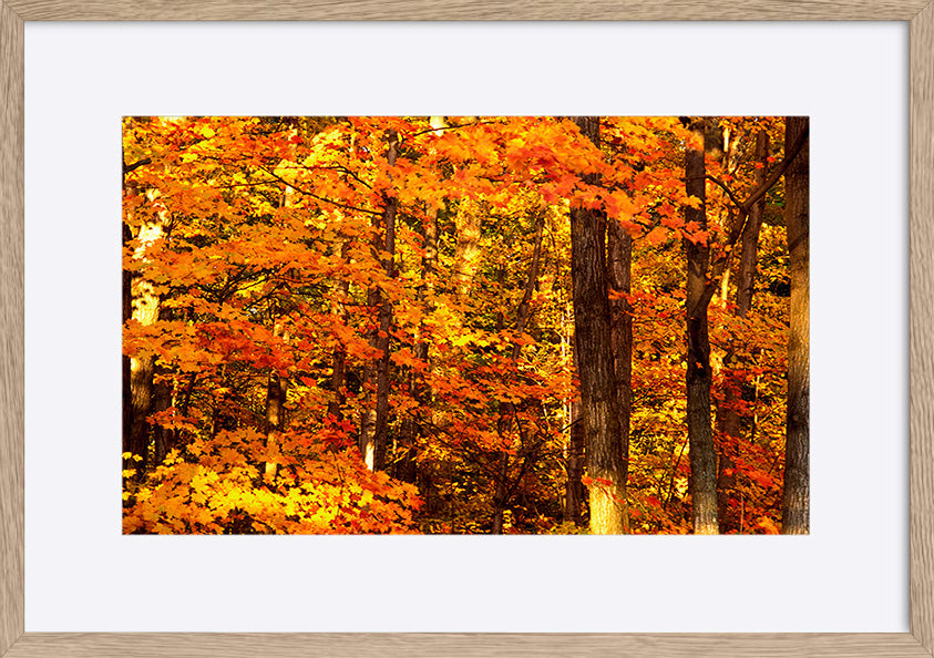 paper_frame