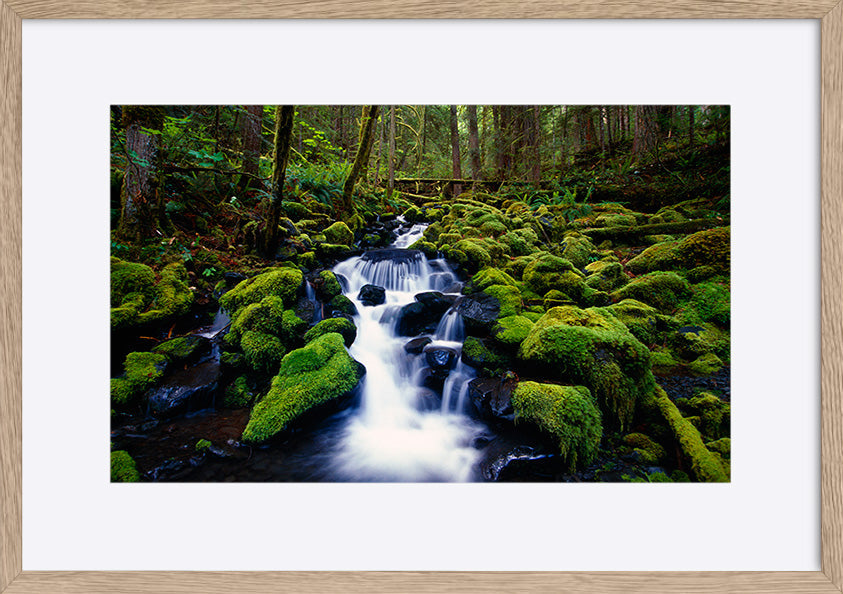 paper_frame