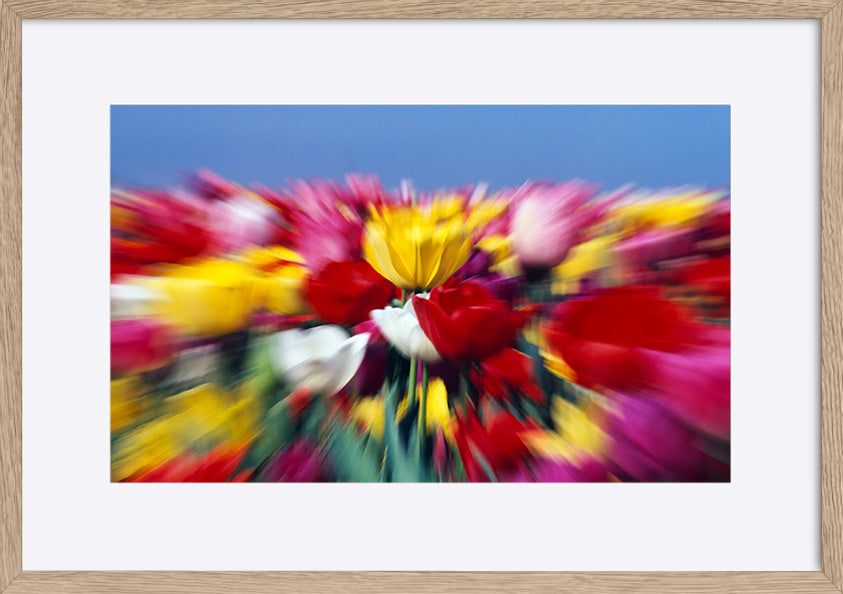 paper_frame
