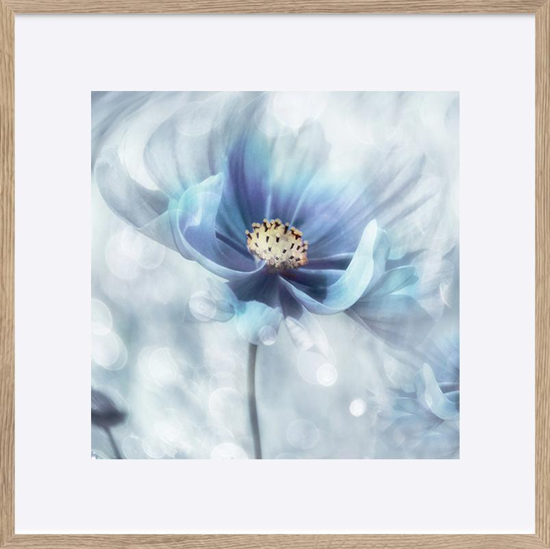 paper_frame