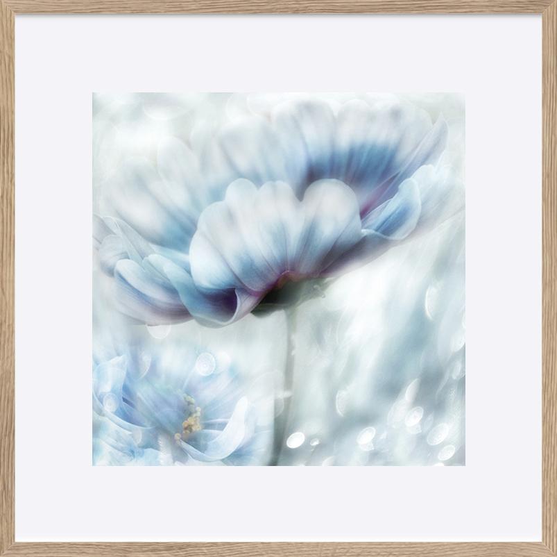 paper_frame