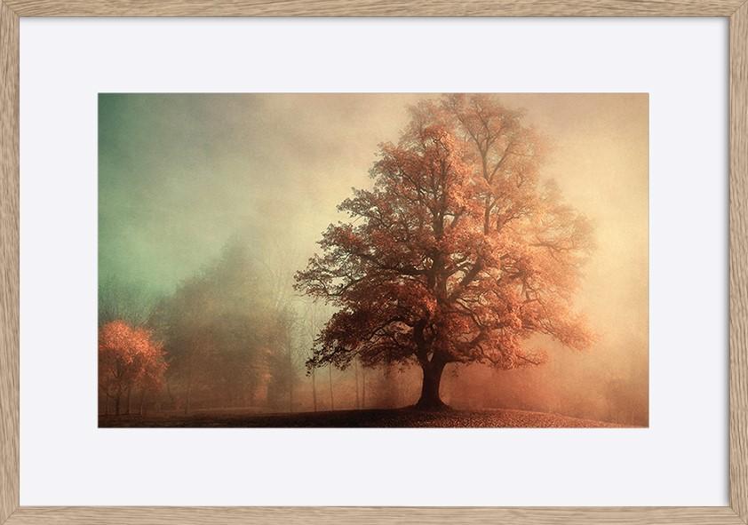 paper_frame