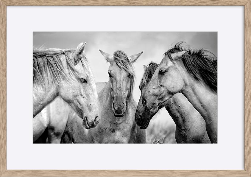 paper_frame