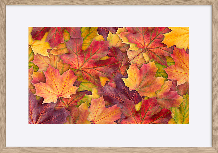 paper_frame
