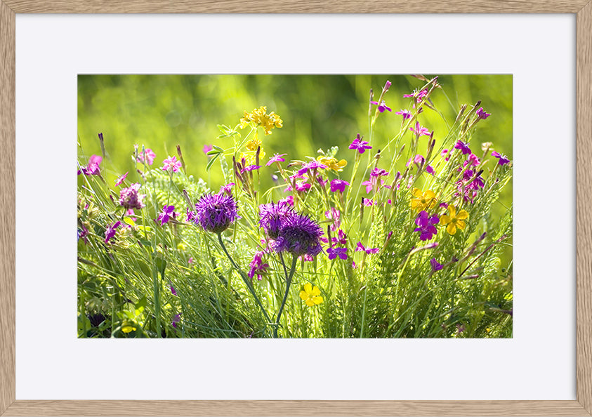 paper_frame