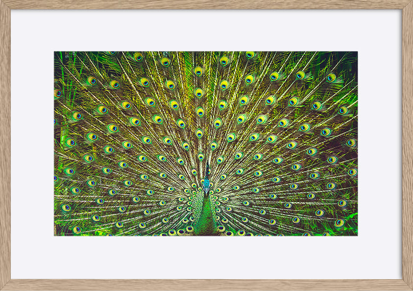 paper_frame
