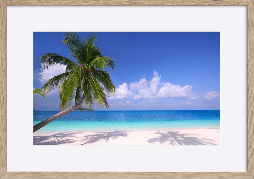 paper_frame